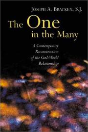 The One in the Many by Joseph A. Bracken