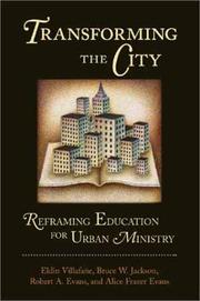 Cover of: Transforming the City | Eldin Villafane