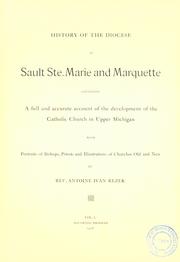 Cover of: History of the diocese of Sault Ste. Marie and Marquette by Antoine Ivan Rezek