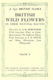 Cover of: A new British flora by A. R. Horwood