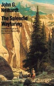 the-splendid-wayfaring-cover