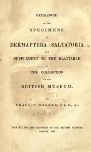 Cover of: Catalogue of the specimens of Dermaptera Saltatoria and supplement of the Blattari in the collection of the British Museum by British Museum (Natural History). Department of Zoology