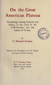 Cover of: On the great American plateau: wanderings among canyons and buttes, in the land of the cliff-dweller, and the Indian of to-day.