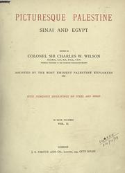 Picturesque Palestine, Sinai, and Egypt by Sir Charles William Wilson