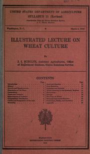 Illustrated lecture on wheat culture by John Ignace Schulte