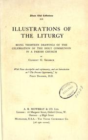 Cover of: Illustrations of the liturgy by Clement O. Skilbeck