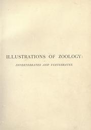 Cover of: Illustrations of zoology: invertebrates & vertebrates.