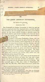 The North American Ceuthophili by Samuel Hubbard Scudder