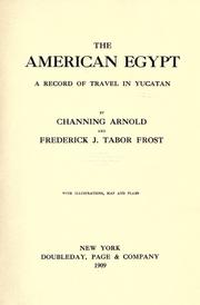 Cover of: The American Egypt by Channing Arnold
