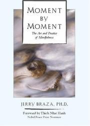 Moment by moment by Jerry Braza