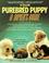 Cover of: Your Purebred Puppy