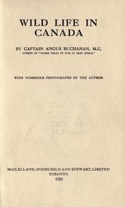 Cover of: Wild life in Canada by Buchanan, Angus