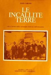 Cover of: Le incallite terre by Elio Caruso