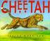 Cover of: Cheetah