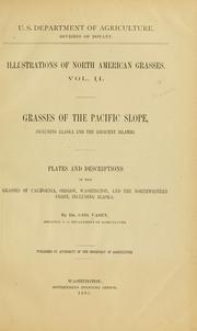 Cover of: Illustrations of North American grasses.