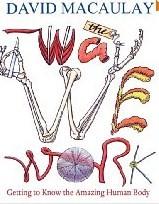 Cover of: The Way We Work