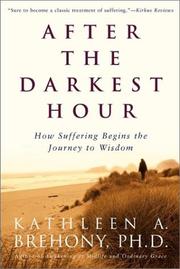 Cover of: After the Darkest Hour by Kathleen A. Brehony