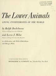 Cover of: The lower animals: living invertebrates of the world