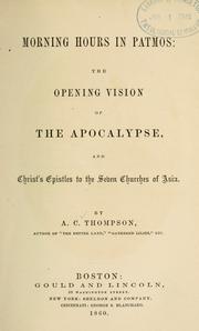 Cover of: Morning hours in Patmos: the opening vision of the Apocalypse, and Christ's epistles to the seven churches of Asia.