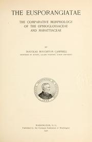The Eusporangiatae by Campbell, Douglas Houghton