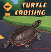 Turtle crossing by Rick Chrustowski