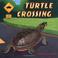 Cover of: Turtle crossing