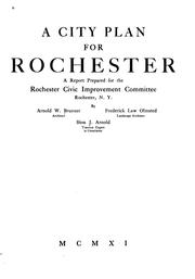 Cover of: A city plan for Rochester: a report