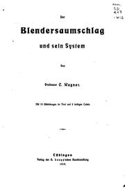 Cover of: Der Blendersaumschlag und sein System