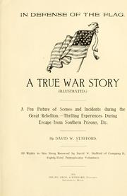 Cover of: In defense of the flag. by David W. Stafford