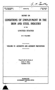 Cover of: Report on conditions of employment in the iron and steel industry in the United States