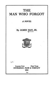 Cover of: The man who forgot: a novel
