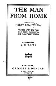 Cover of: The man from home: a novel