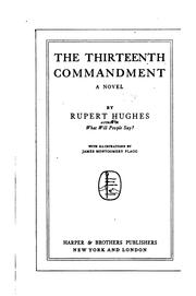 Cover of: The thirteenth commandment: a novel