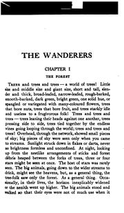 Cover of: The wanderers by Mary Johnston