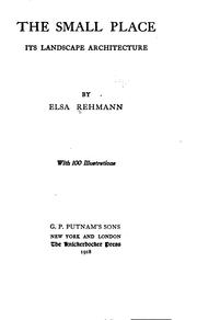 Cover of: The small place by Elsa Rehmann