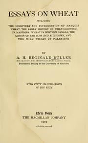 Cover of: Essays on wheat by A. H. Reginald Buller