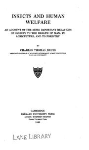 Cover of: Insects and human welfare by Charles Thomas Brues, Charles T. Brues