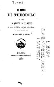 Cover of: Il libro di Theodolo: o vero la Visione di Tantolo