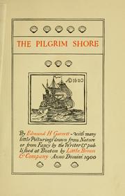 Cover of: The Pilgrim shore