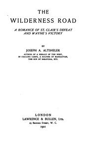 Cover of: The wilderness road: a romance of St. Clair's defeat and Wayne's victory