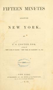 Fifteen minutes around New York by Foster, George G.