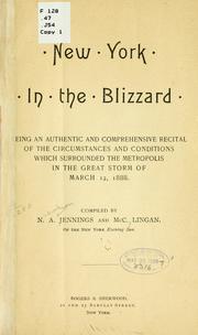 Cover of: New York in the blizzard | N. A. Jennings
