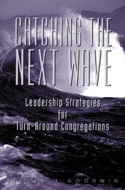 Cover of: CATCHING THE NEXT WAVE by Steven , J Goodwin