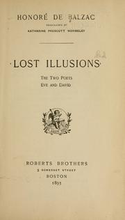Cover of: Lost illusions: The two poets; Eve and David.