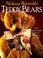 Cover of: Making Adorable Teddy Bears