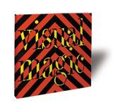 Cover of: Visual Magic