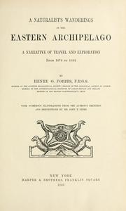 Cover of: A naturalist's wanderings in the Eastern archipelago: a narrative of travel and exploration from 1878 to 1883