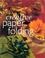 Cover of: Creative Paper Folding