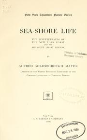 Cover of: Sea-shore life: the invertebrates of the New York coast
