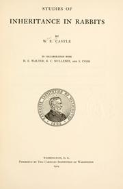 Cover of: Studies of inheritance in rabbits by William E. Castle